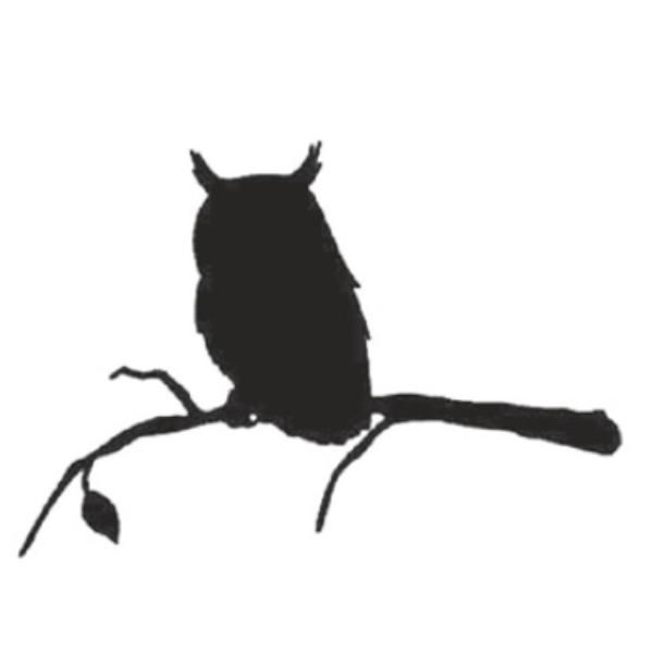 Owl Silhouette 200MM High x 300MM Wide x 3MM Thick 52/10