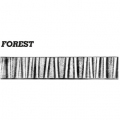 30 x 10mm Forest 3000mm Long 6 5g
